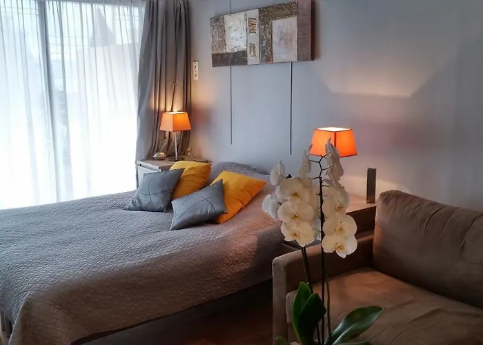 Sophies Homes Felibriges & Palais Des Festivals *
