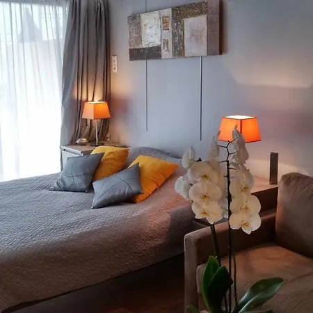 Sophies Homes Felibriges & Palais Des Festivals *